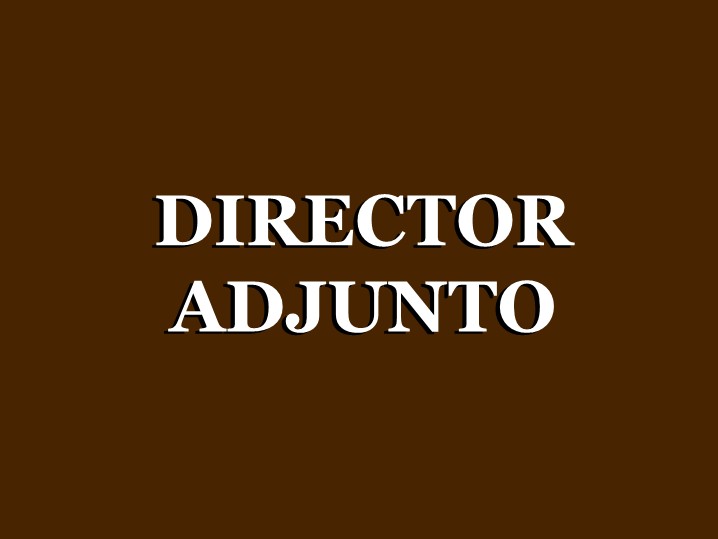 director_adjunto_300x200